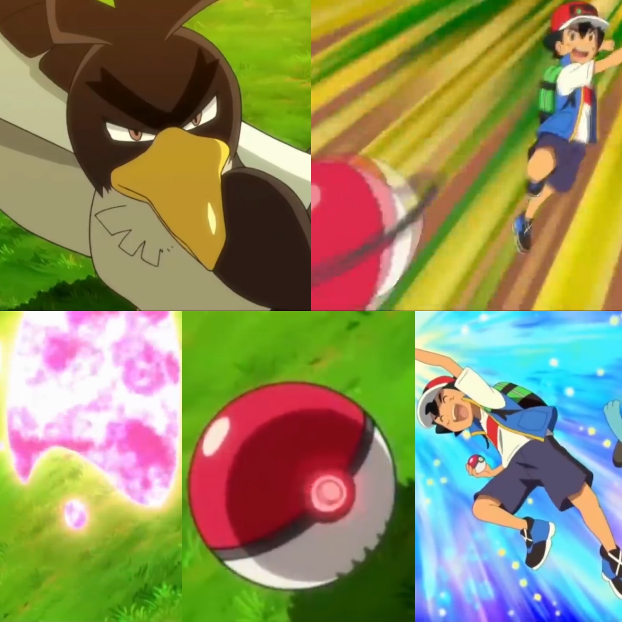 Pokemon Journeys Promo Teases Ash's Encounter with a Farfetch'd