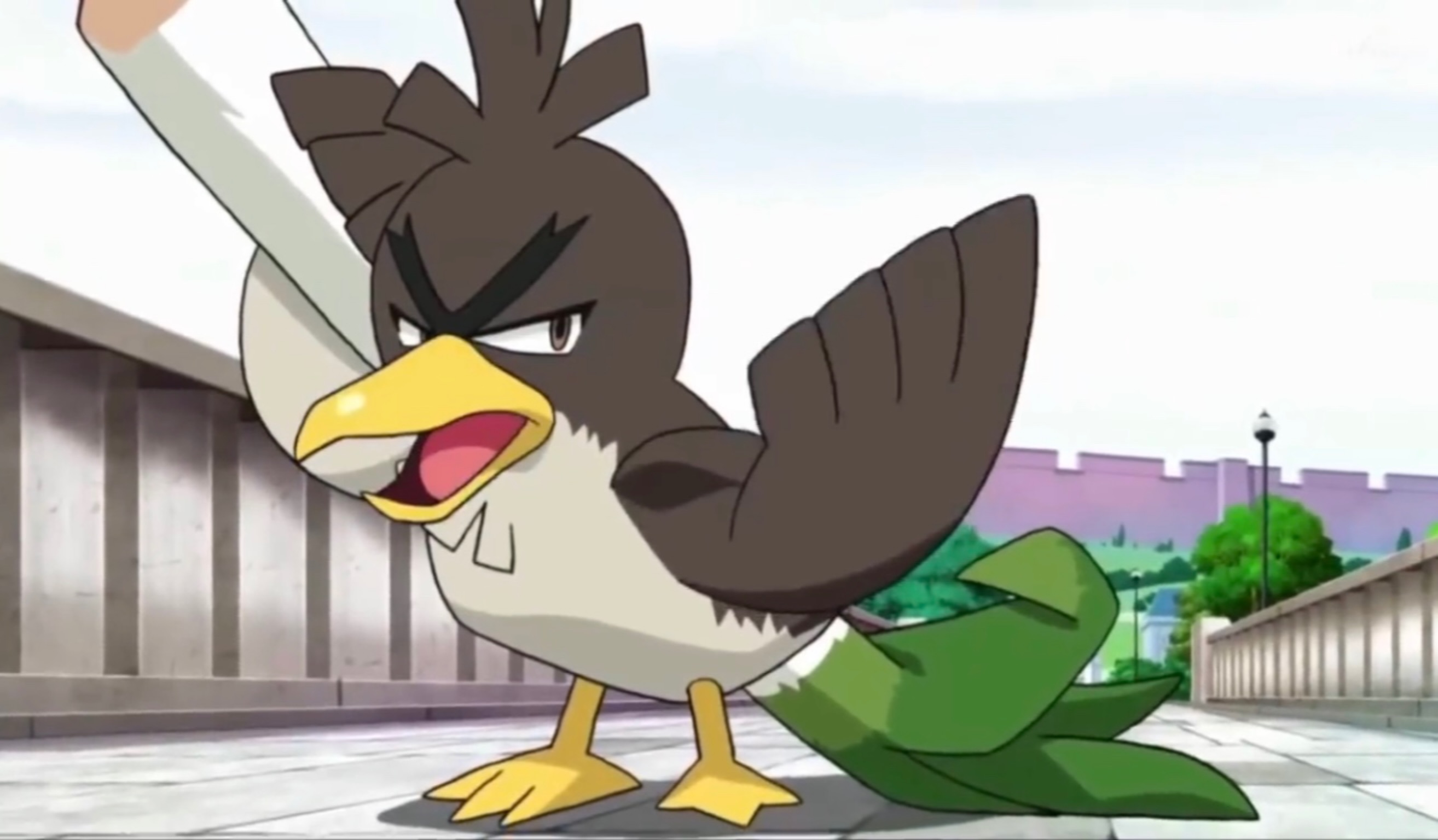 Farfetch'd de Galar, Pokémon