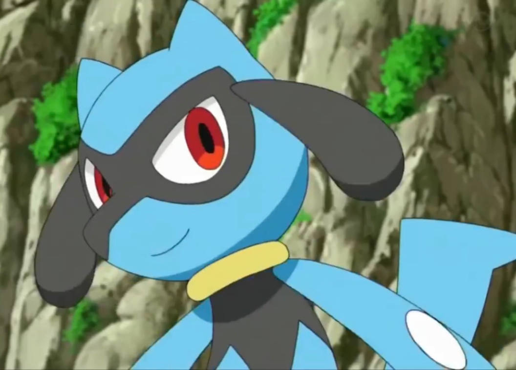 Riolu the Best by Yingcartoonman on DeviantArt
