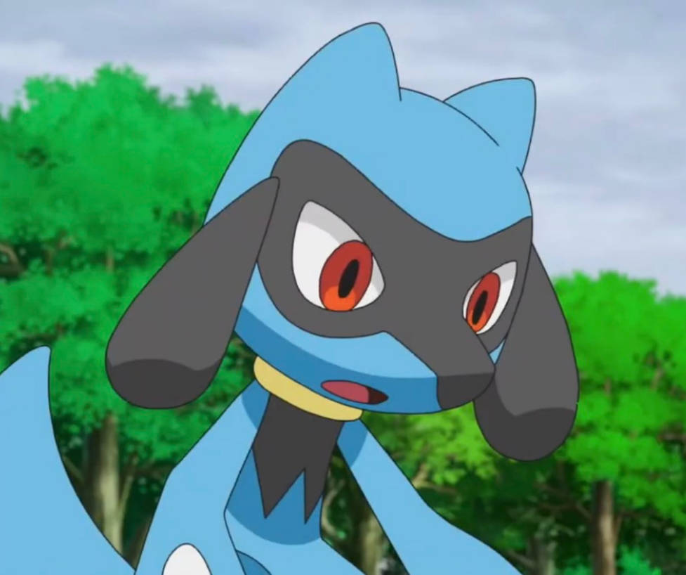 Riolu Found Something by Yingcartoonman on DeviantArt