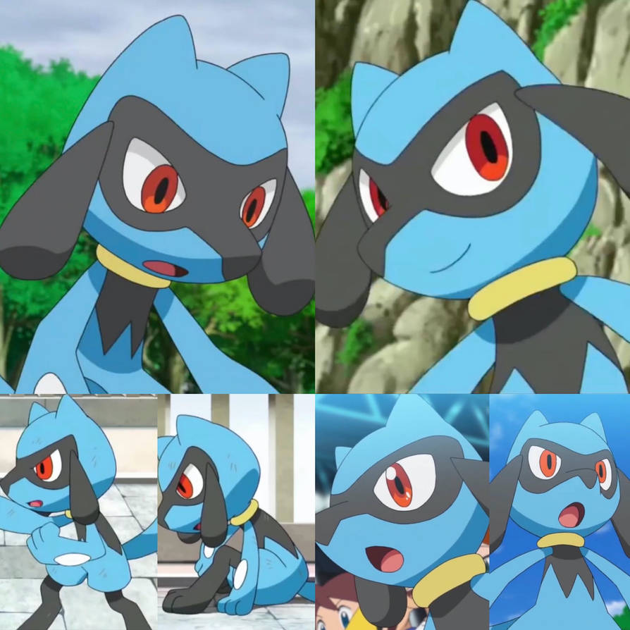 Riolu Great Pokemon by Yingcartoonman on DeviantArt