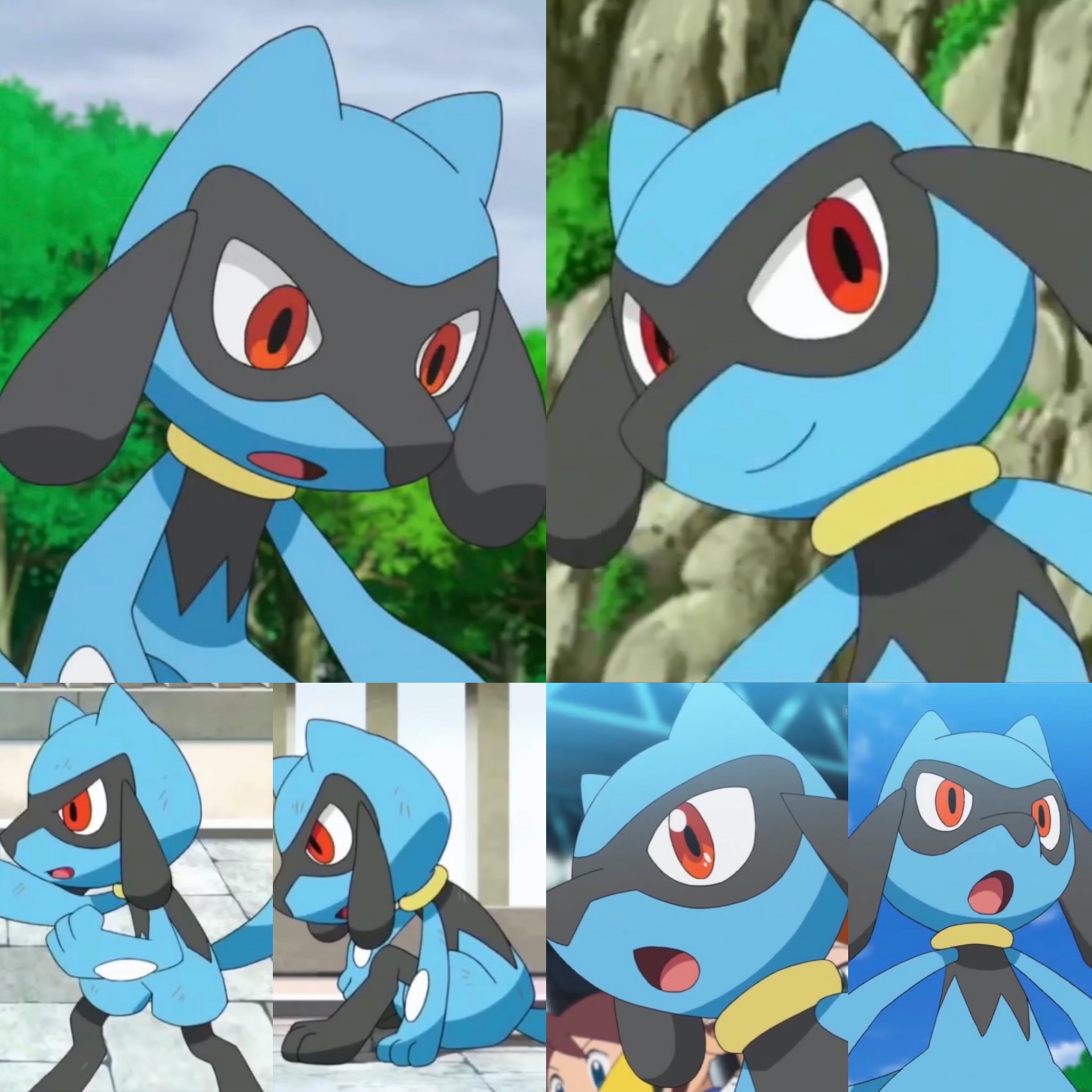 Riolu Great Pokemon by Yingcartoonman on DeviantArt