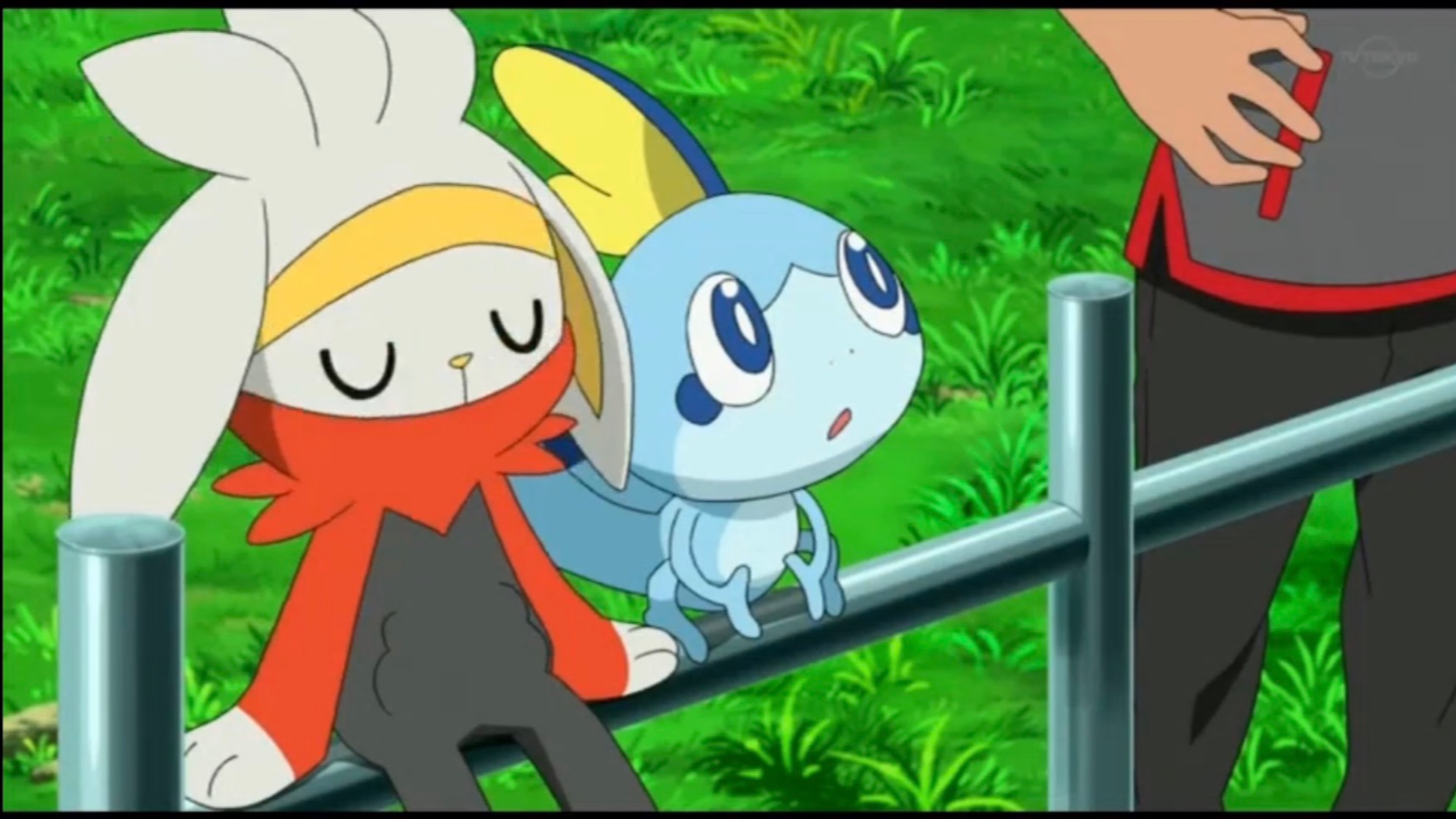 Go Raboot and Sobble by Yingcartoonman on DeviantArt