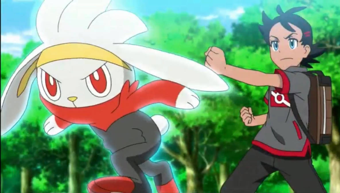 Go and Raboot Pokemon Battle by Yingcartoonman on DeviantArt