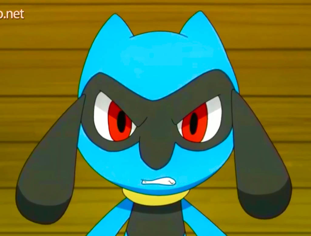 Riolu Angry by Yingcartoonman on DeviantArt