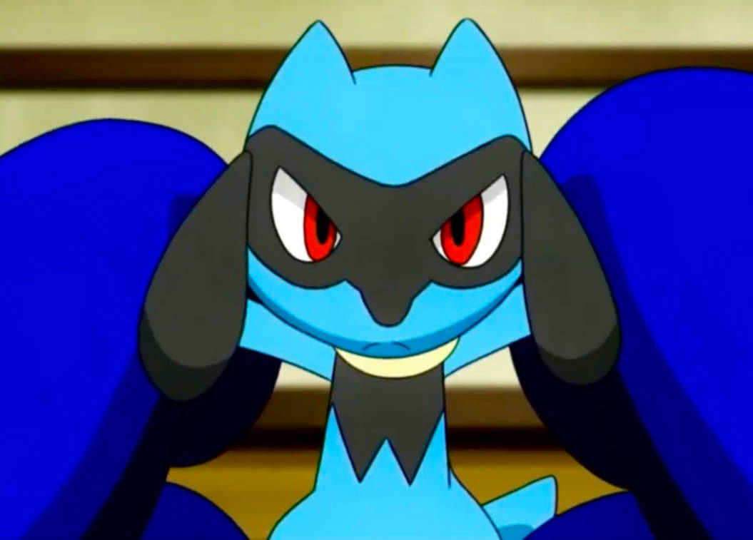 Riolu got this Win by Yingcartoonman on DeviantArt