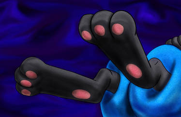 Lucario Feet Paws