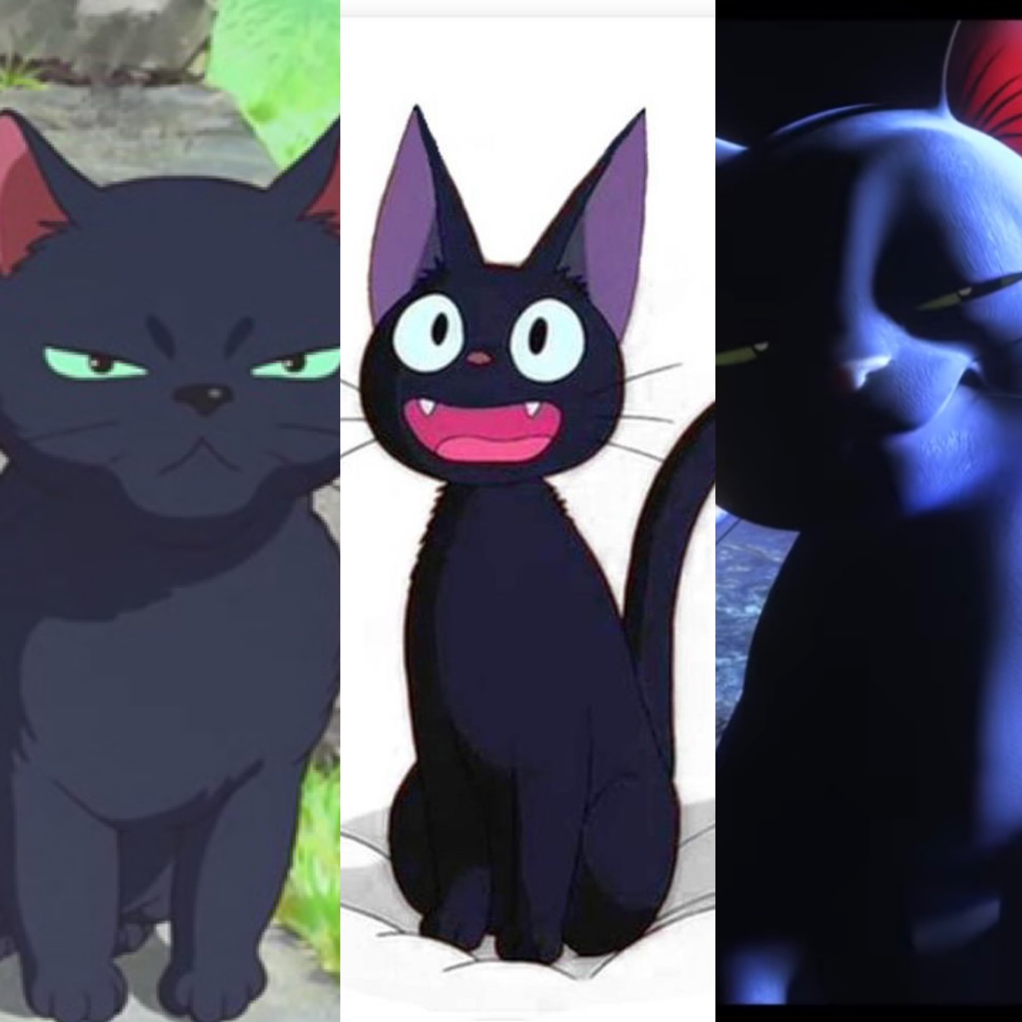 Trio Anime Black Cat by Yingcartoonman on DeviantArt Trio Anime Black Cat by Yingcartoonman on DeviantArt