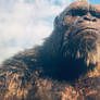 Kong Seeing Godzilla Go away
