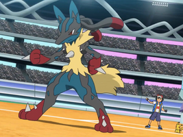 Mega Lucario Let Go