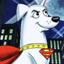 Krypto Night Hero Duty