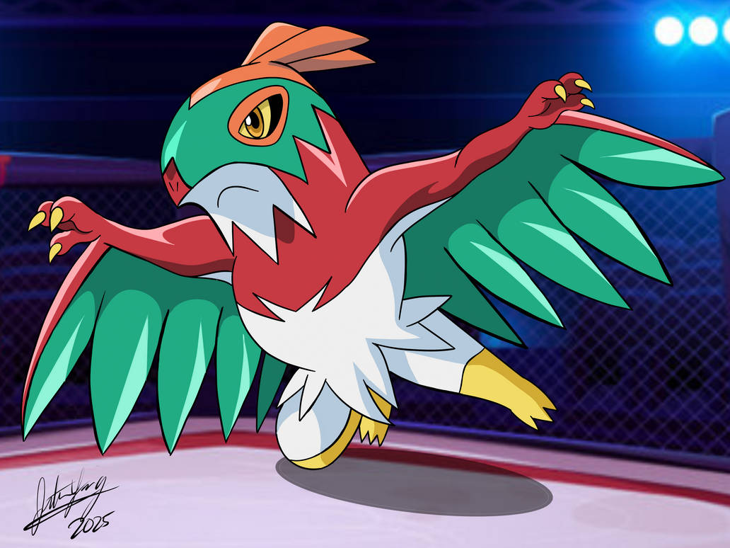 Hawlucha by Yingcartoonman on DeviantArt