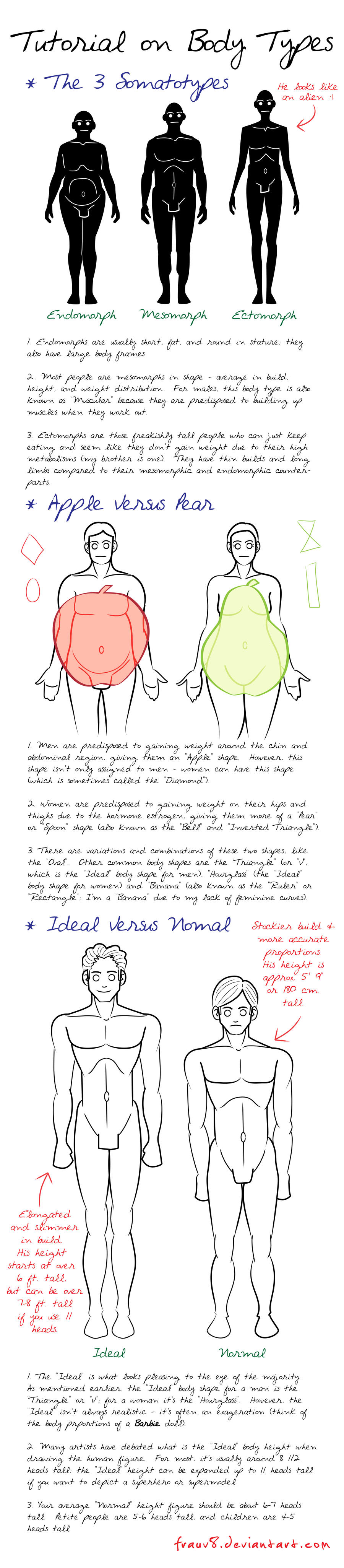 Body Types Tutorial by FrauV8 on DeviantArt