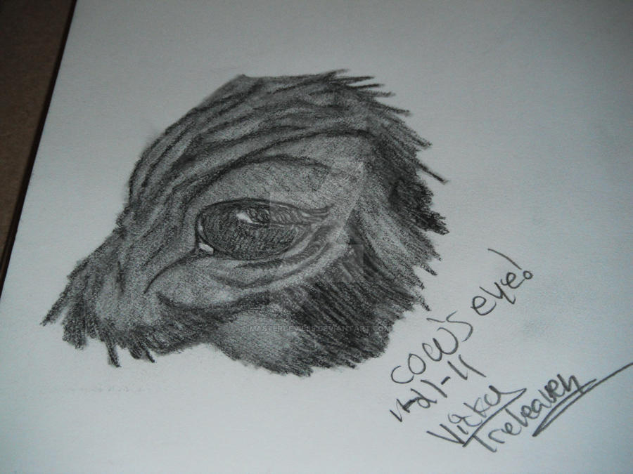 cow eye drawing by masterdevil89 on DeviantArt