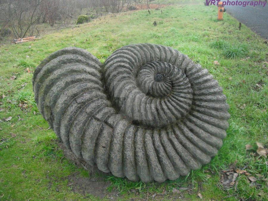 stone shell by masterdevil89 on DeviantArt