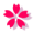 Karma Flower 30 by Gaudeamusmx Karma Flower 30 by Gaudeamusmx