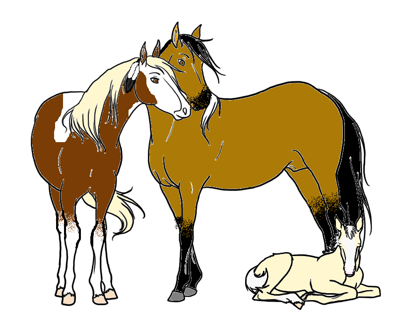 Лошадка на 7. Жеребенок. Лошади раскраски спирит. Семья лошадей рисунок. Семья Спирита.