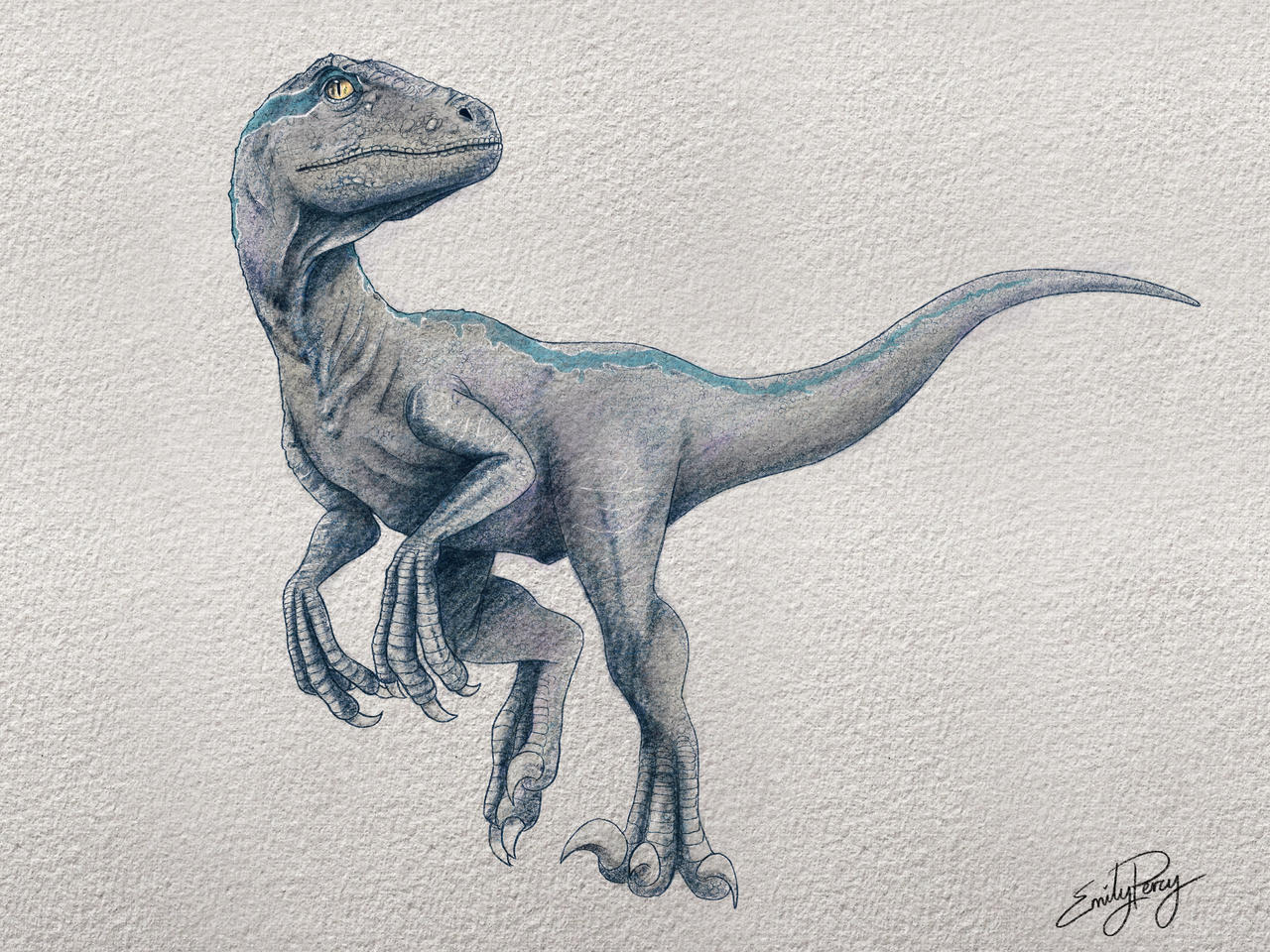 Jurassic World Blue By Sapphicrose On Deviantart Jurassic World Blue By Sapphicrose On Deviantart
