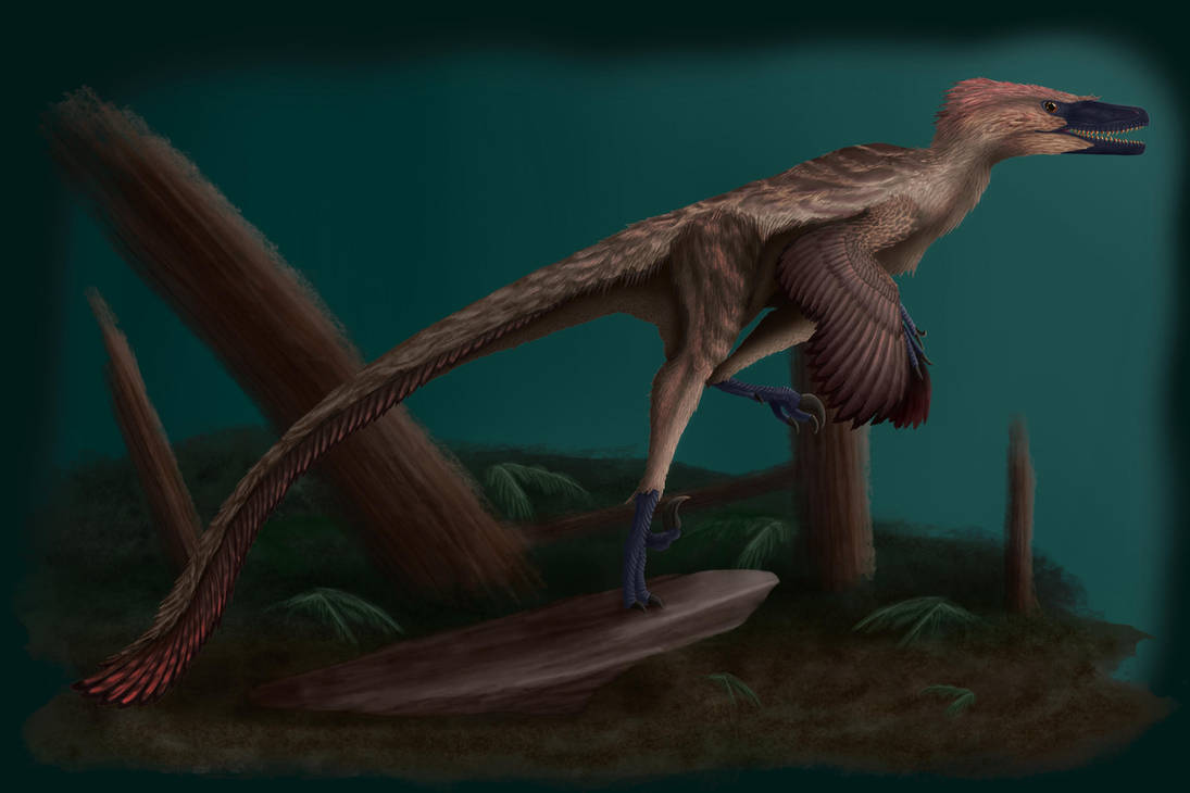 Raptor-006 by BrandonS1771 on DeviantArt