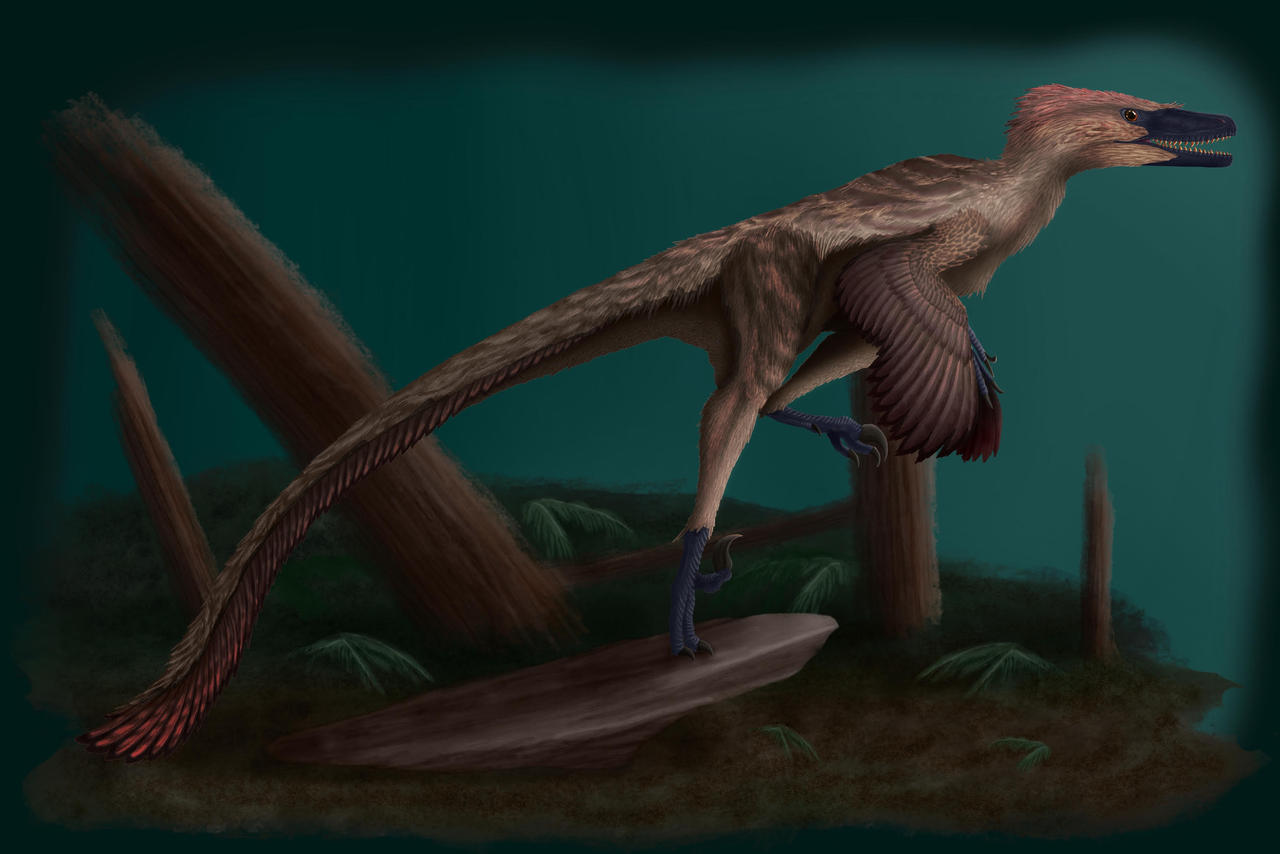 Raptor-006 by BrandonS1771 on DeviantArt