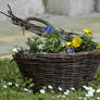 Flower Basket