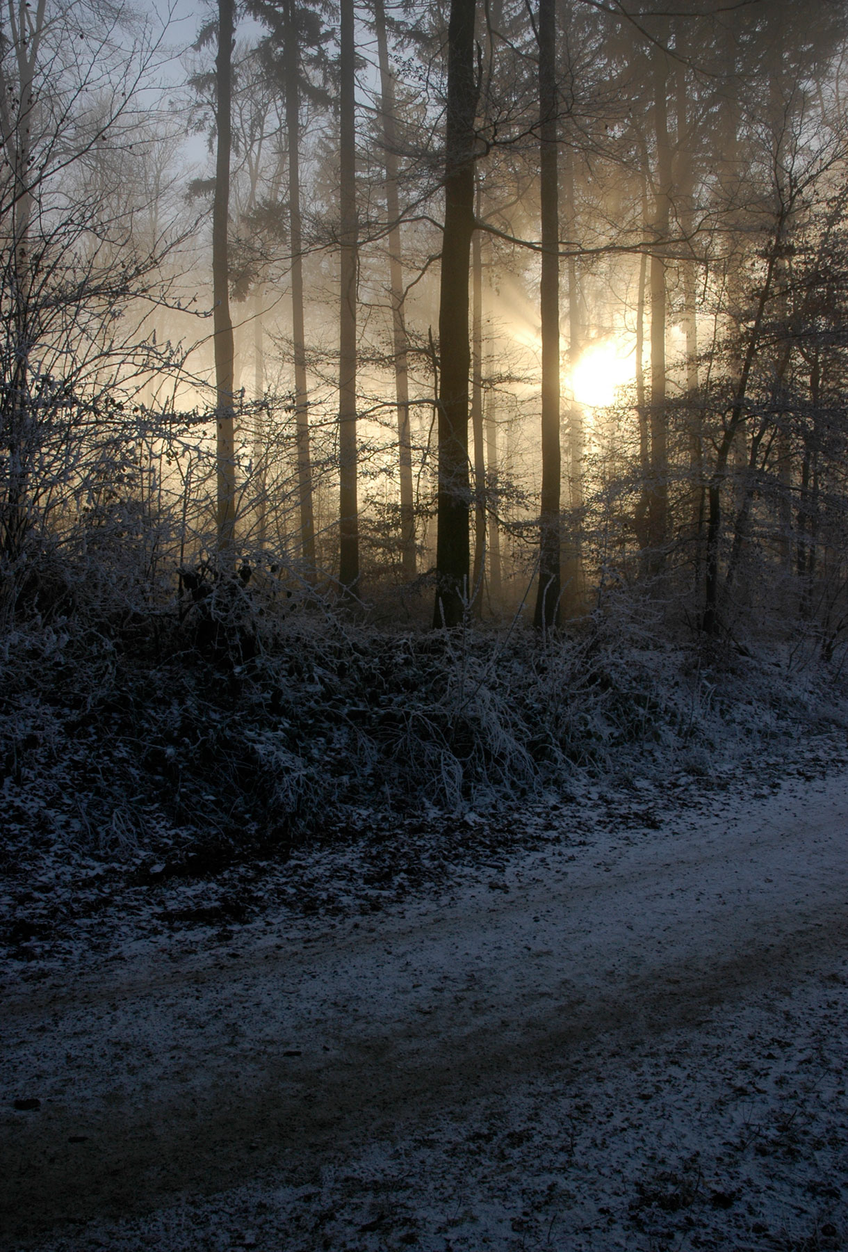 Winter Sunset by sun-stock