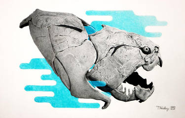 Dunkleosteus terrelli Skull