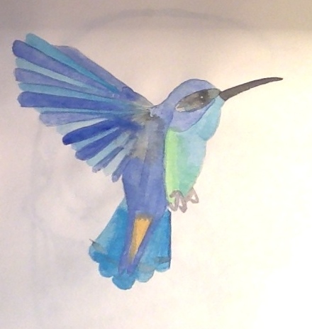 humming bird