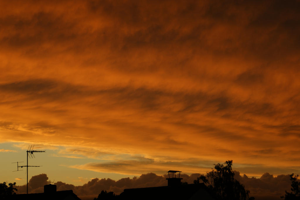 bloody-red intension -HD Quali