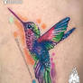 Colibri / Hummingbird