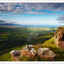 From Benevenagh