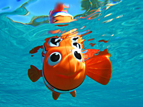 Findin Nemo