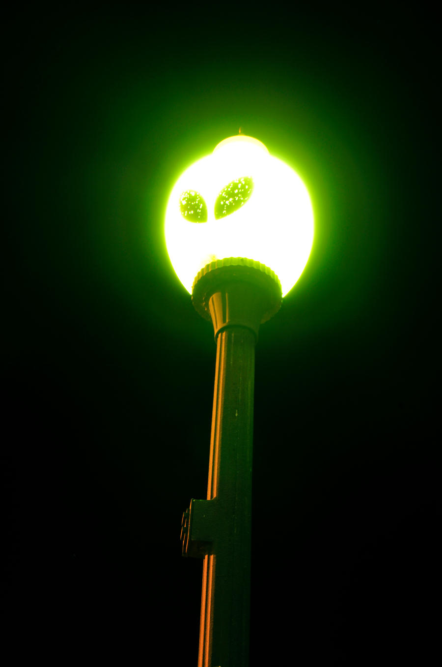 Roswell Light Pole