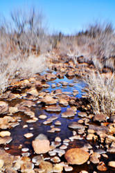 Bed of Rocks