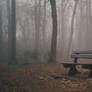 Gloomy Park Bench II