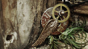 Broken Wings - photo edit by LuthienThye Broken Wings - photo edit by LuthienThye