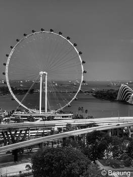 Singapore Flyer