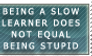 Slow Not Stupid