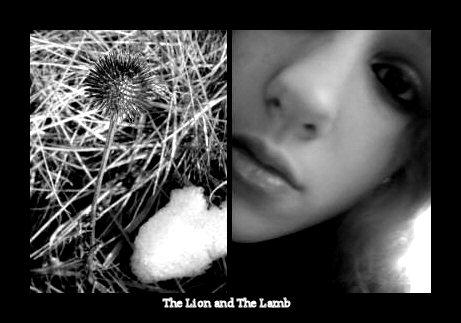 The Lion And The Lamb