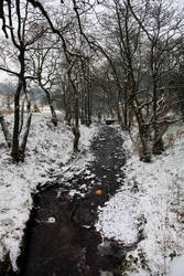 Winter stream 1