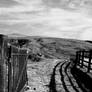 Open track.