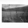 Final print 4.