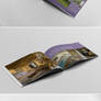 Booklet / Brochure Template