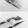 Trend Brochure Template