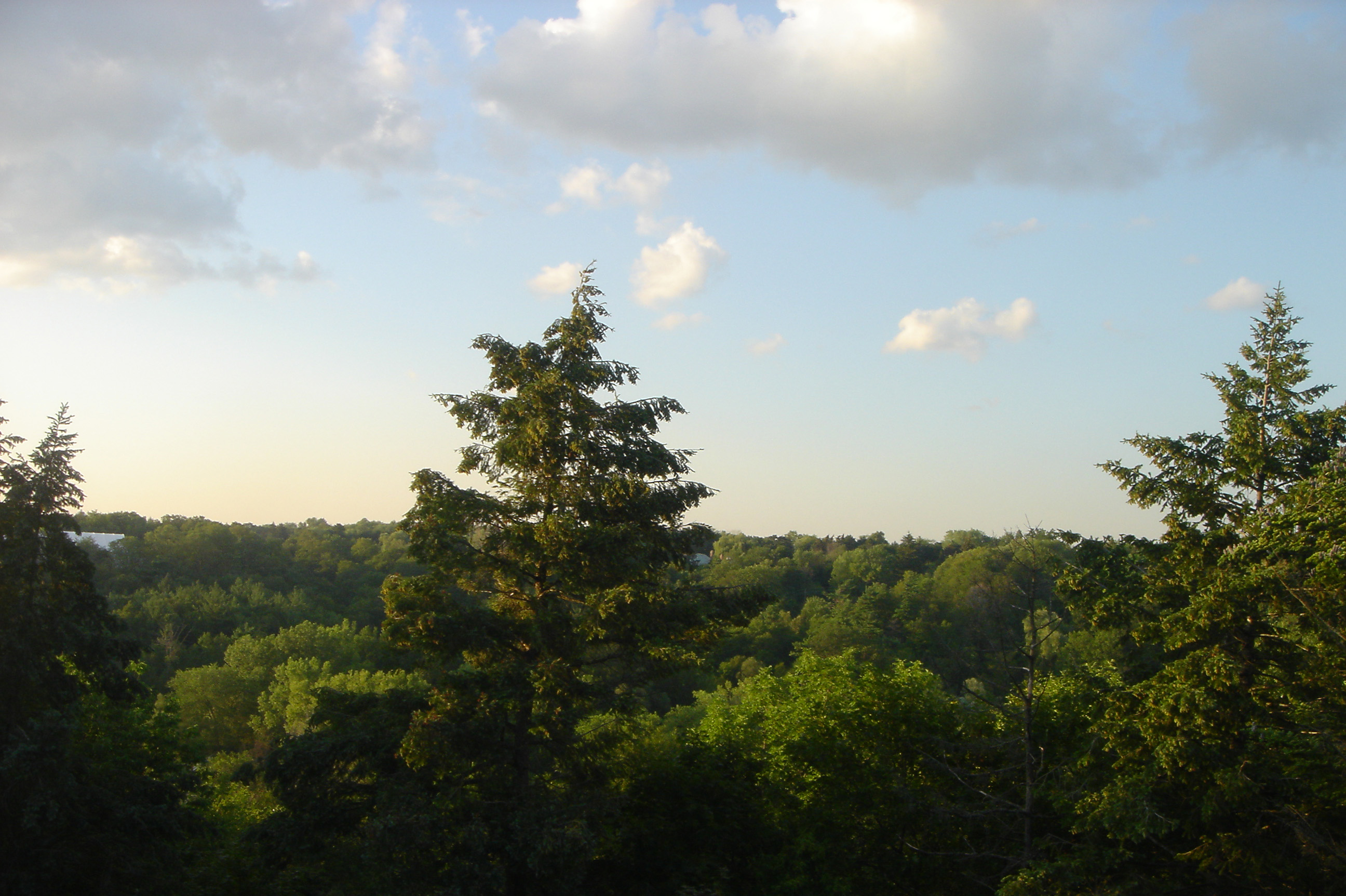 Sunset from Above