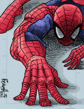 Spider-Man sketchcard in color 2