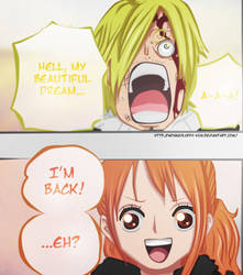 Nami-san and Sanji-kun. One piece manga color 678.