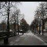 Cold street....