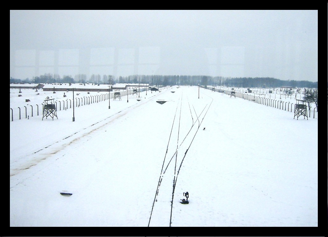 Auschwitz train tracks...