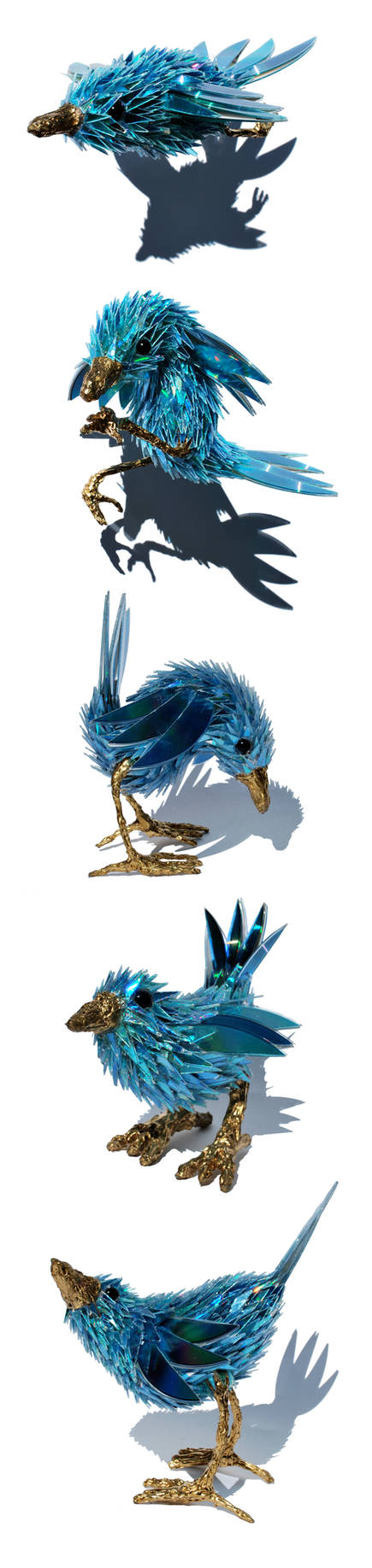 Blue wren series